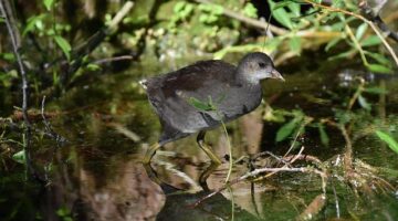 Jak najít levné letenky online