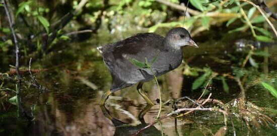 Jak najít levné letenky online