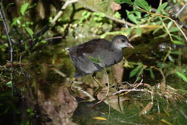 Jak najít levné letenky online