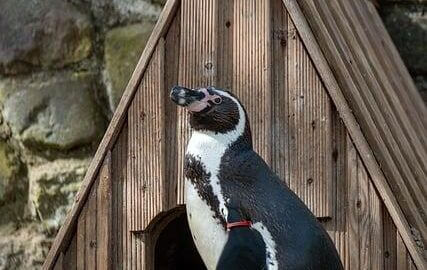 Dřevostavby: inspirace pro moderní bydlení