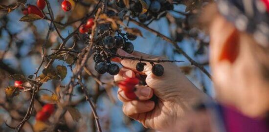 Jak si vybrat správnou hypotéku?