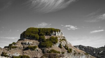 Jak se vypořádat s dluhy – informace a rady