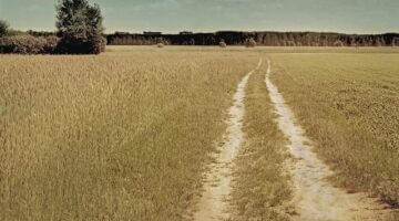 Jak se bránit exekuci – Informative