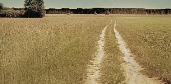 Jak se bránit exekuci – Informative