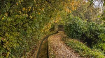 5 způsobů, jak ušetřit peníze – čeština