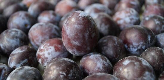 Benefity biopotravin: Zdravé a šetrné volby pro vaši stravu