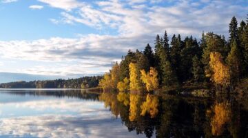 Jak se vyrovnat s dluhy – Čeština