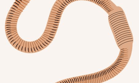 Jak vybrat vhodné hnojivo – rady a tipy