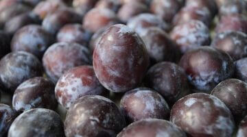 Benefity biopotravin: Informative