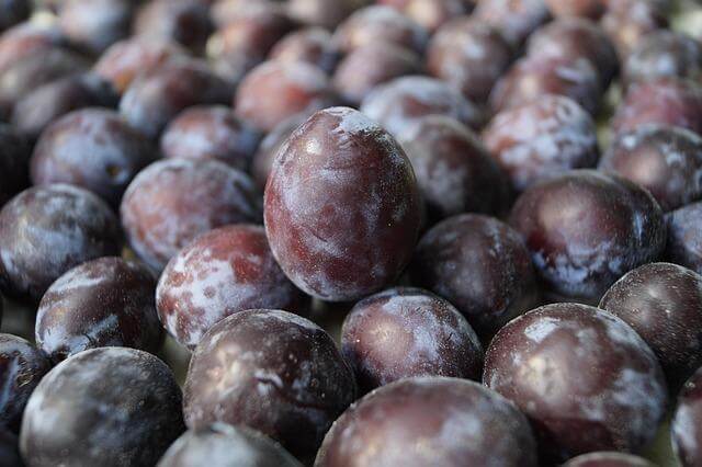 Benefity biopotravin: Informative