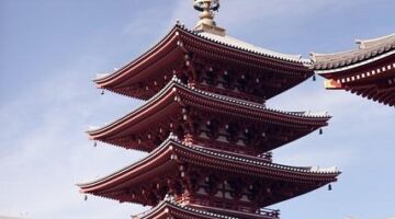 Jak správně zvolit materiál pro dřevostavbu