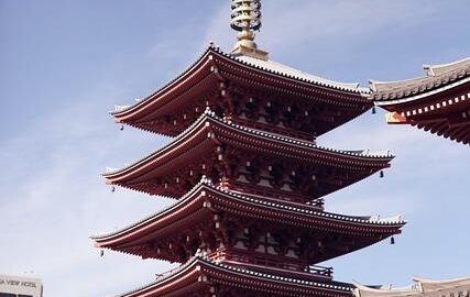 Jak správně zvolit materiál pro dřevostavbu