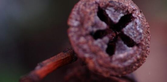 Jak se vyrovnat s dluhy – článek o postupu při řešení finančních problémů