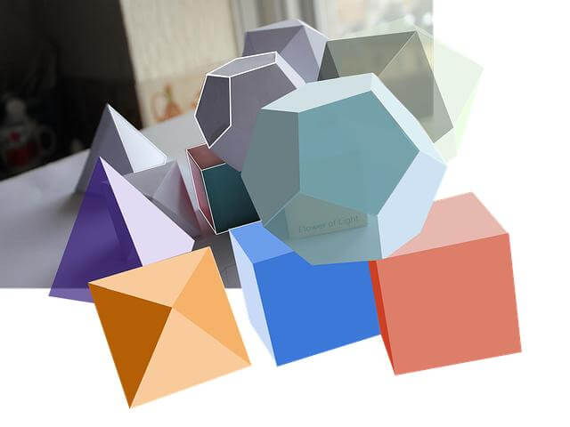 Základy péče o pokojovou rostlinu