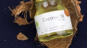 Jak udělat skleník doma: Informative návod