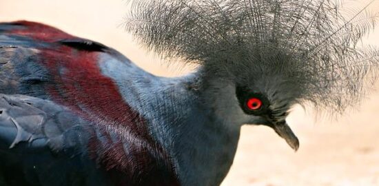 Jak získat výhodné půjčky