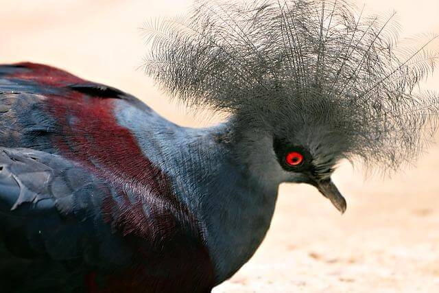 Jak získat výhodné půjčky