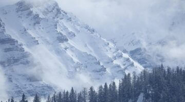 Přehled různých druhů půjček