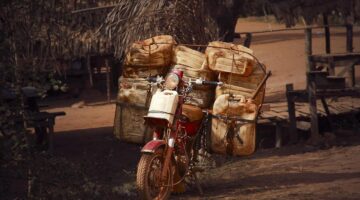 Jak efektivně využít skleník pro pěstování zeleniny