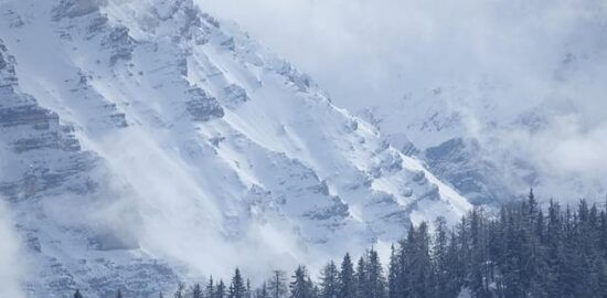 Přehled různých typů půjček