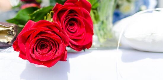 Jak si vybrat květinu pro váš domov