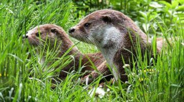 Tipy pro údržbu domu