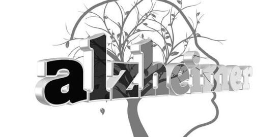 Jak se starat o stromy