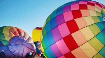 Jak založit udržitelnou zahradu krok za krokem