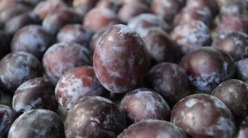 Proč volit biopotraviny – Informative