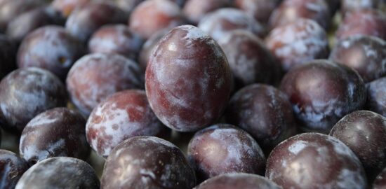 Proč volit biopotraviny – Informative