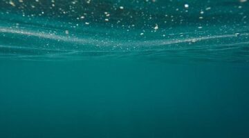 Voda – jak udělat domácí ionizovanou vodu?