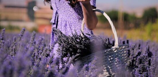 Jak vybrat ten správný dům