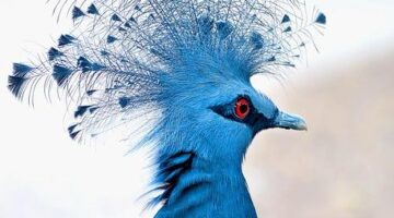 Jak získat nejlepší půjčku?