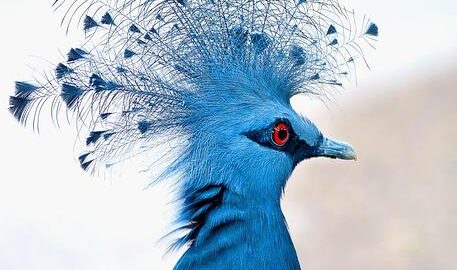 Jak získat nejlepší půjčku?