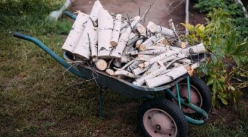 Jak zařídit zahradu