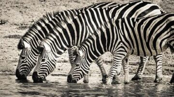 Přínosy pití vody pro zdraví