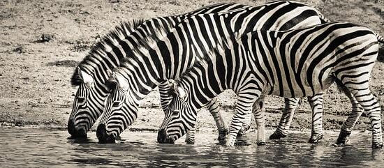 Přínosy pití vody pro zdraví