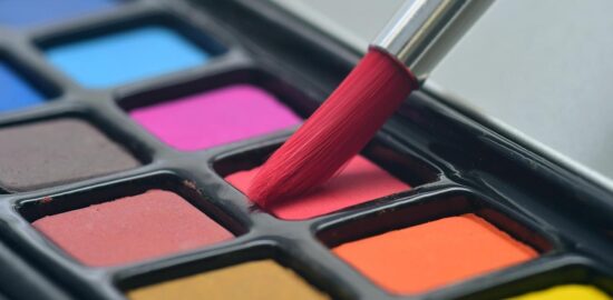 Výběr vhodného hnojiva – článek o výběru vhodného typu hnojiva pro rostliny