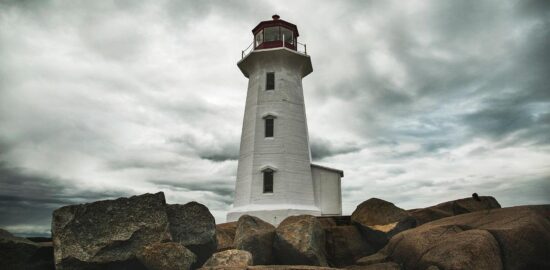 Nová ekonomická opatření ve státě