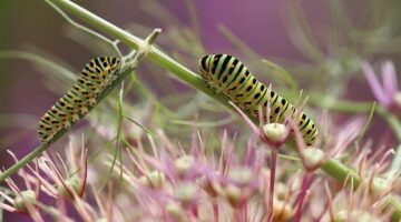 Jak se vyhnout dlouhům a správně řešit své dluhy