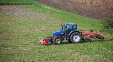 Jak pěstovat rostlinu doma – Informative