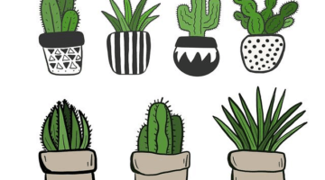 Tipy pro výběr květináče