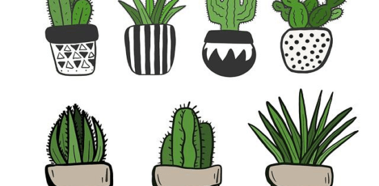 Tipy pro výběr květináče