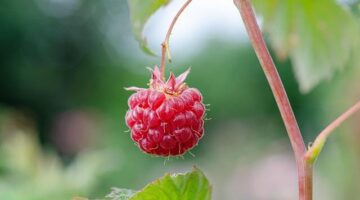 Výběr nejlepší půjčky: Informativečlánek o výběru vhodné půjčky