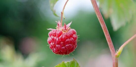 Výběr nejlepší půjčky: Informativečlánek o výběru vhodné půjčky