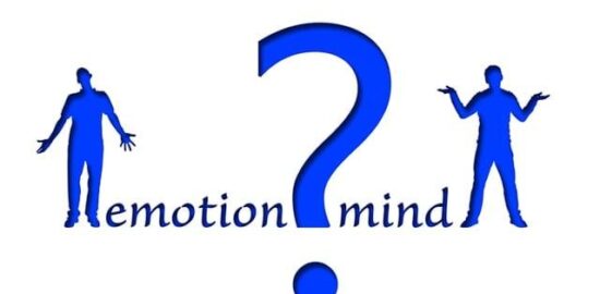 Rozhodujete se o půjčce? Přečtěte si tento článek!