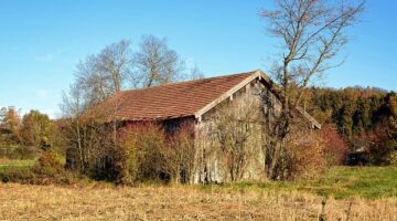 Dřevostavby: Informace a tipy