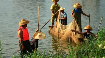 Rady a tipy: Moderní techniky ve zdivočnictví