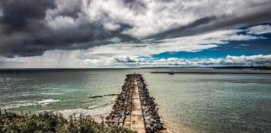 Strom – informace, které jste možná nevěděli