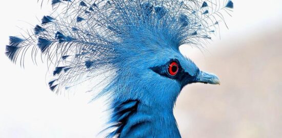 Jak získat výhodnou půjčku – Informative